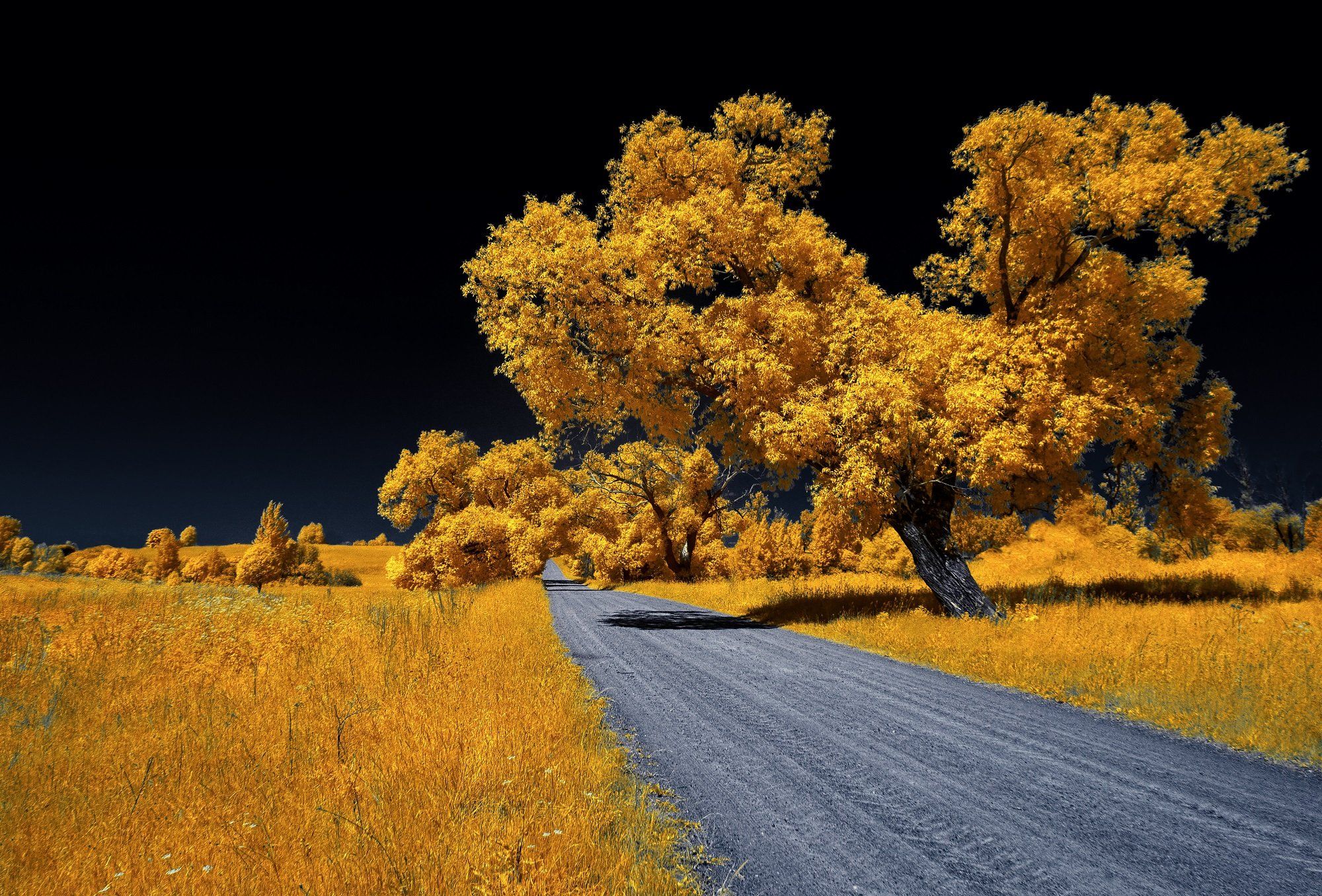 infrared,ик-фото,инфракрасное фото, инфракрасная фотография, пейзаж, лето, беларусь, Sixten ( Сергей )