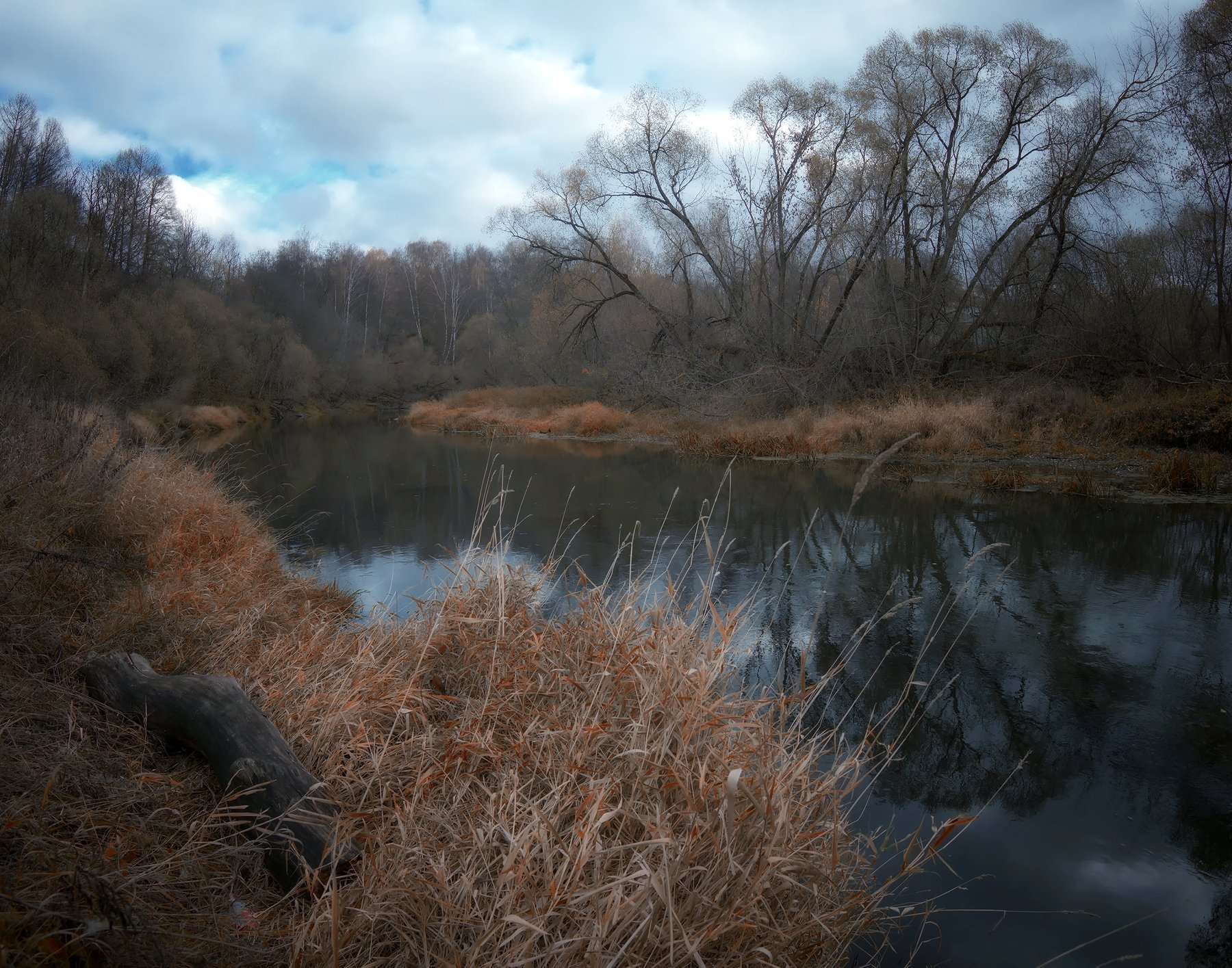 лес, природа, пейзаж, осень, река, вода, ручей, подмосковье, Алексей Никонов