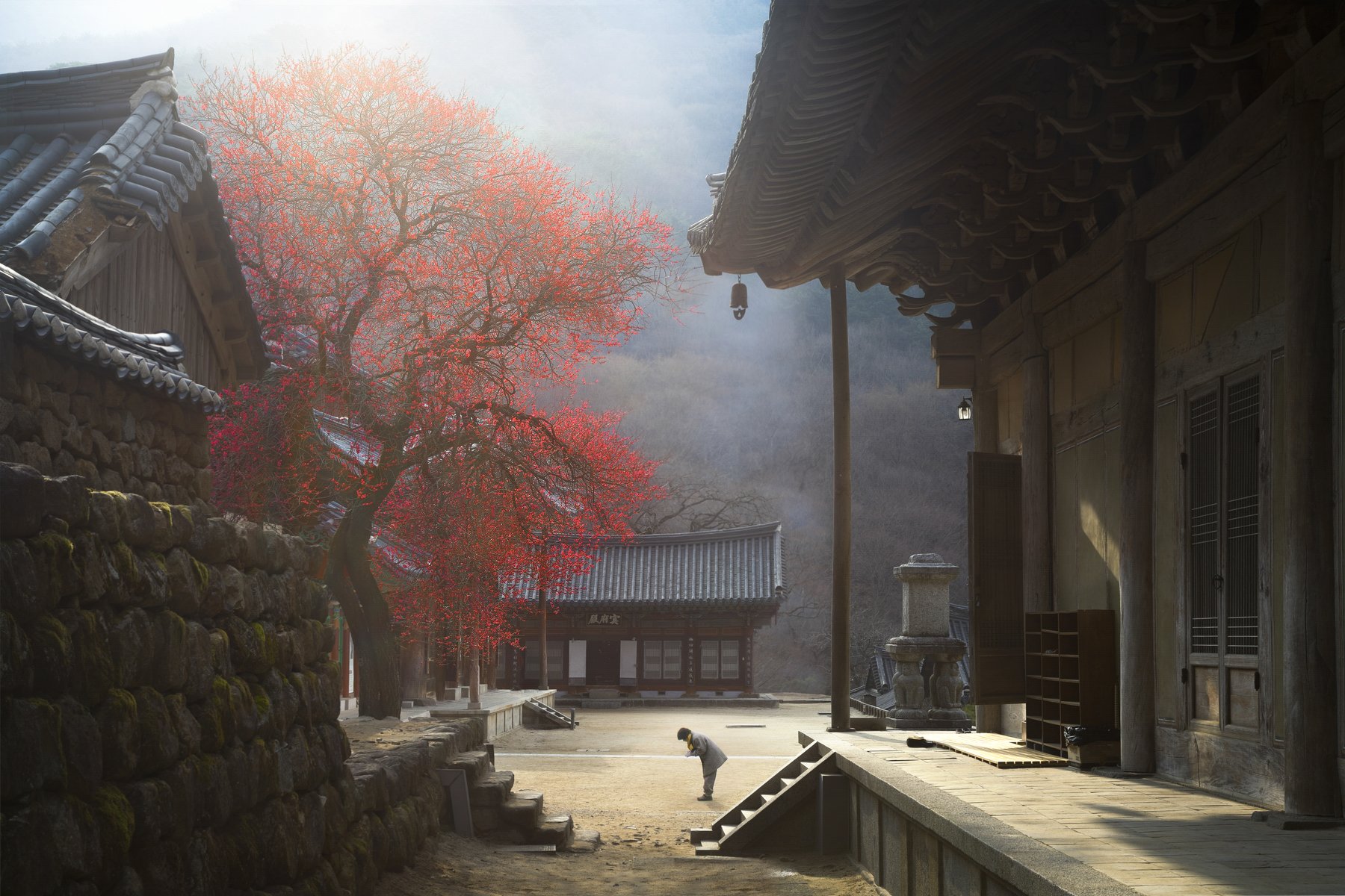 flower, spring, bloom, buddha, traditional, oriental, sublime, place, korea, temple, Jaeyoun Ryu