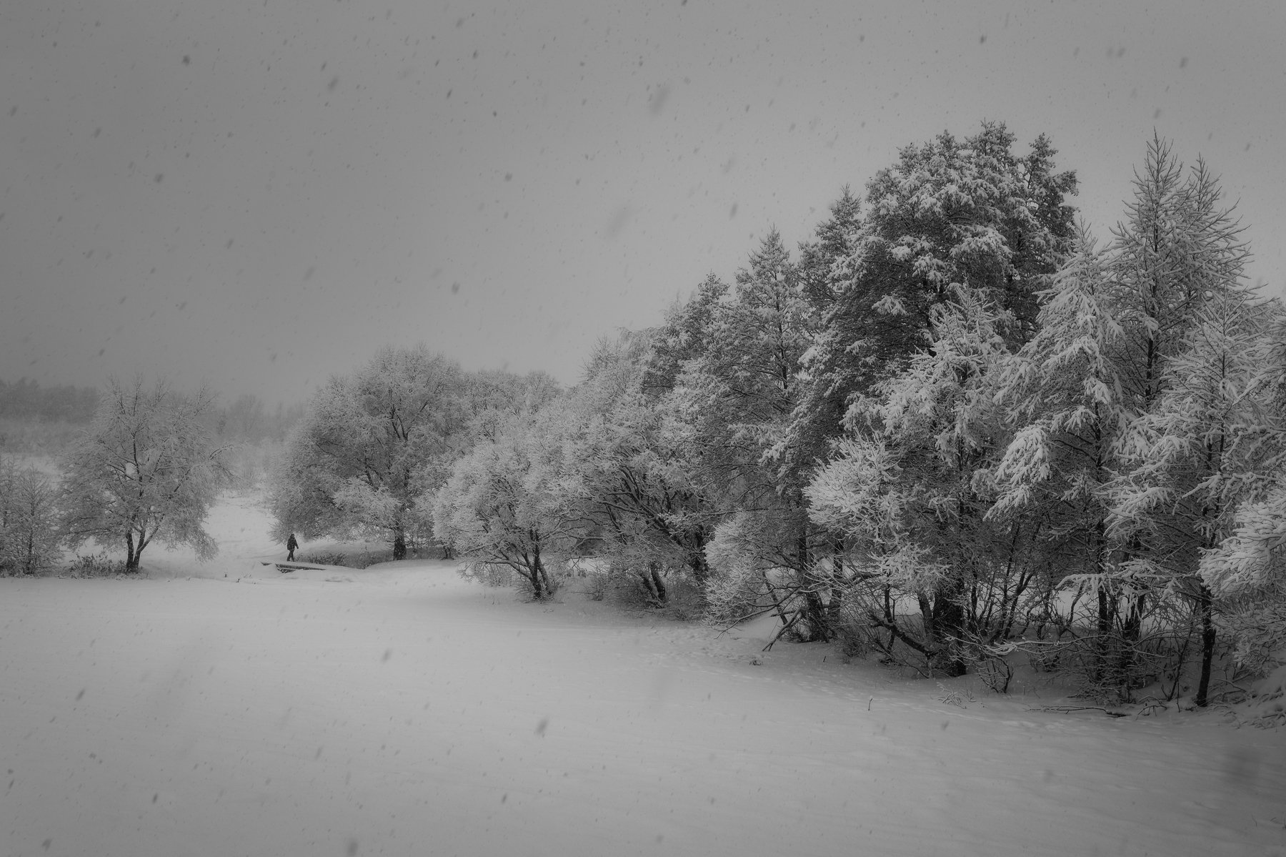 природа, пейзаж, landscape, nature, snow, снег, Мартыненко Дмитрий