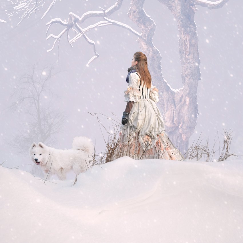 dog, white, snow, winter, woman, fantasy, tree, journey, Caras Ionut