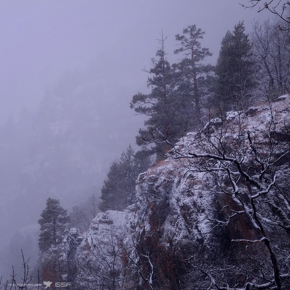 скалы, горы, лес, зима, снег, Serj Master