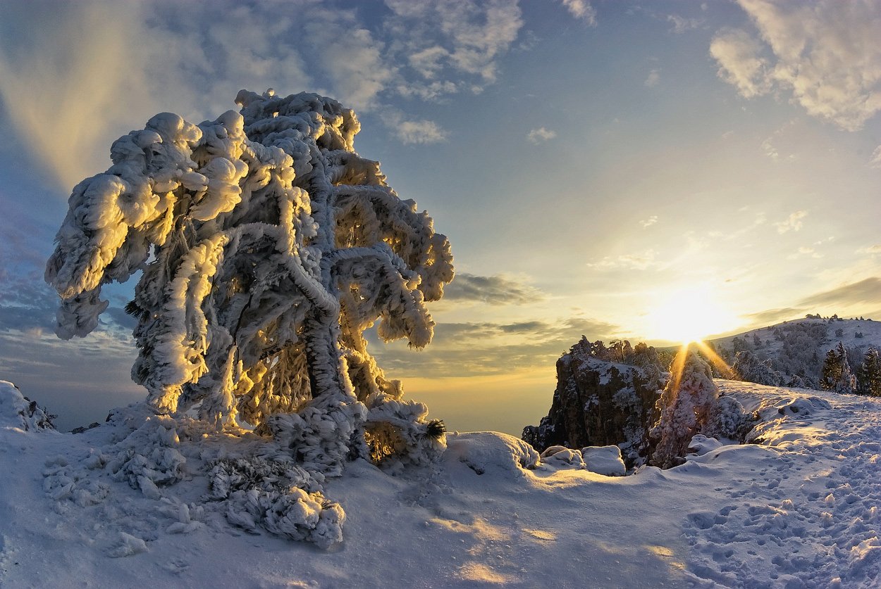 , Игорь Мелекесцев