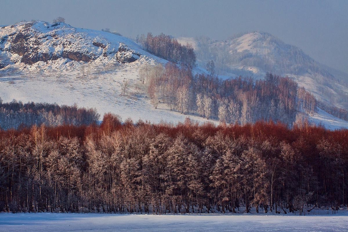зима,декабрь,лес,горы, Качурин Алексей