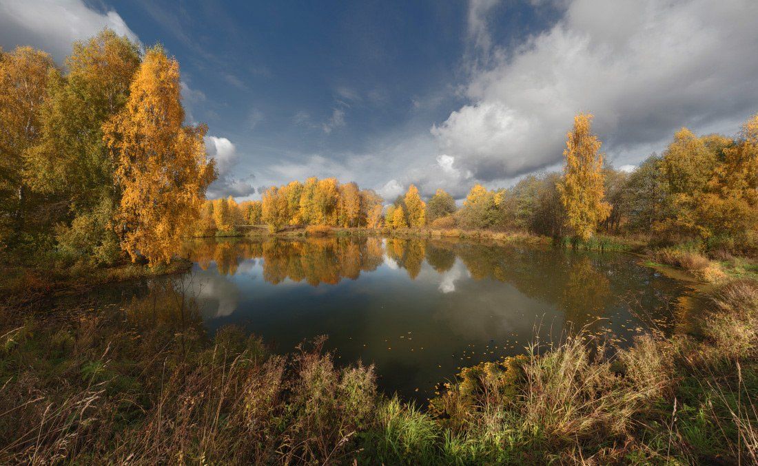 озеро, трава, деревья, лес, листья, облака, осень, Георгий Машковцев