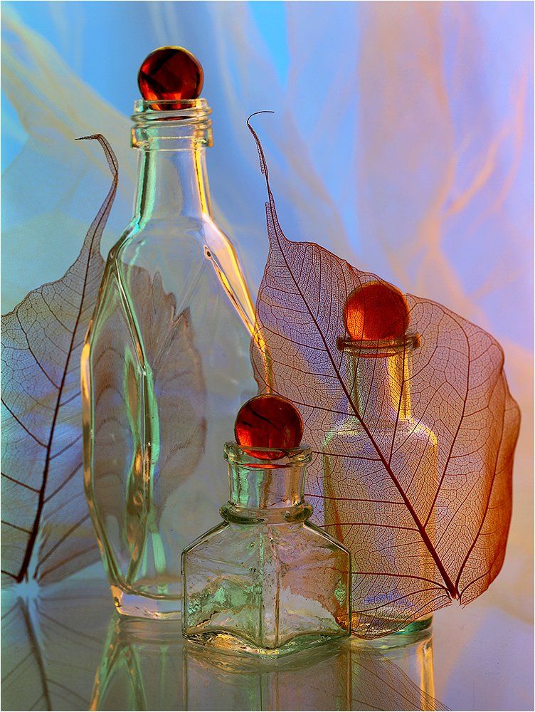 лист, листья, бутылка, стекло, натюрморт, стеклянные шарики,, Victor Pechenev