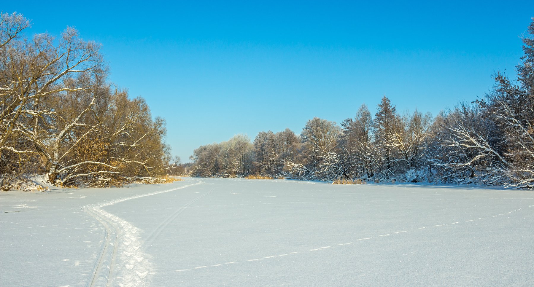 зима, река, деревья, снег, лыжня, лес, Руслан Востриков
