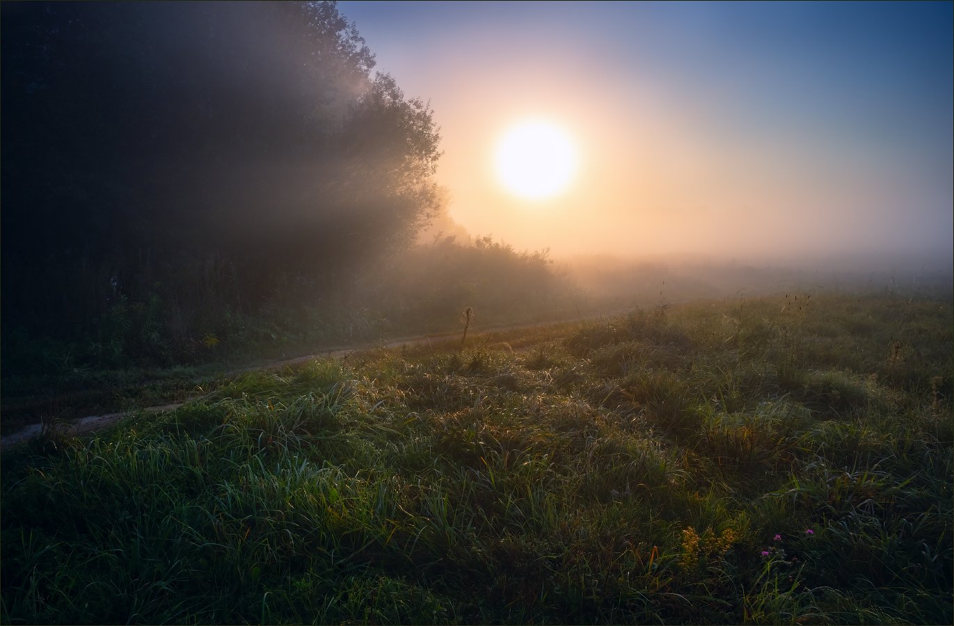 утро, туман, солнце,, Сергей Шабуневич