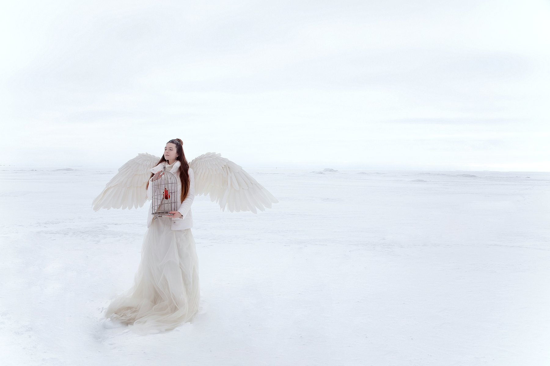 белое снег белыйангел ангел сердце клетка, Анастасия Тордуа