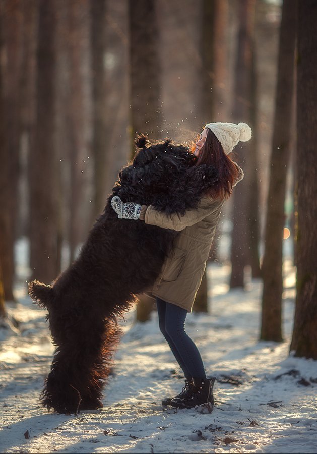 друг, собака, черный терьер, прогулка,, Екатерина Годова
