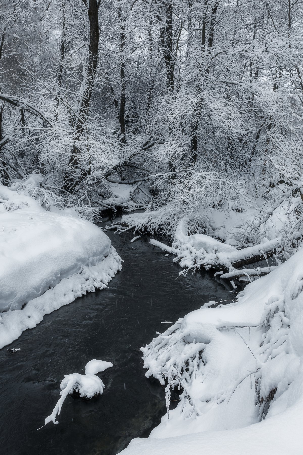 зима, природа, пейзаж, landscape, winter, nature, Мартыненко Дмитрий