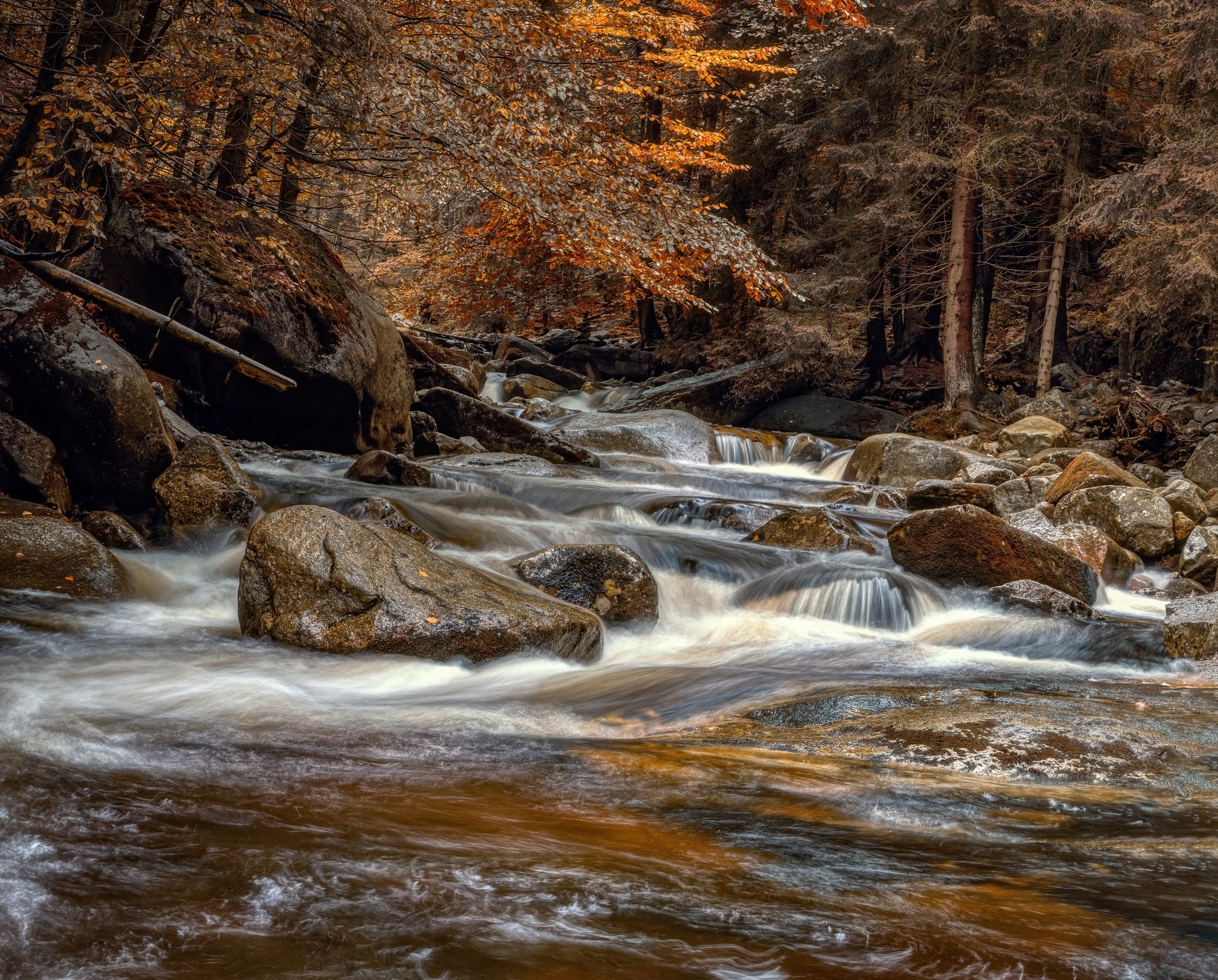 природа лес деревья осень листва путешествия пейзаж тени чехия вода река водоём камни, Андрей Ожерельев