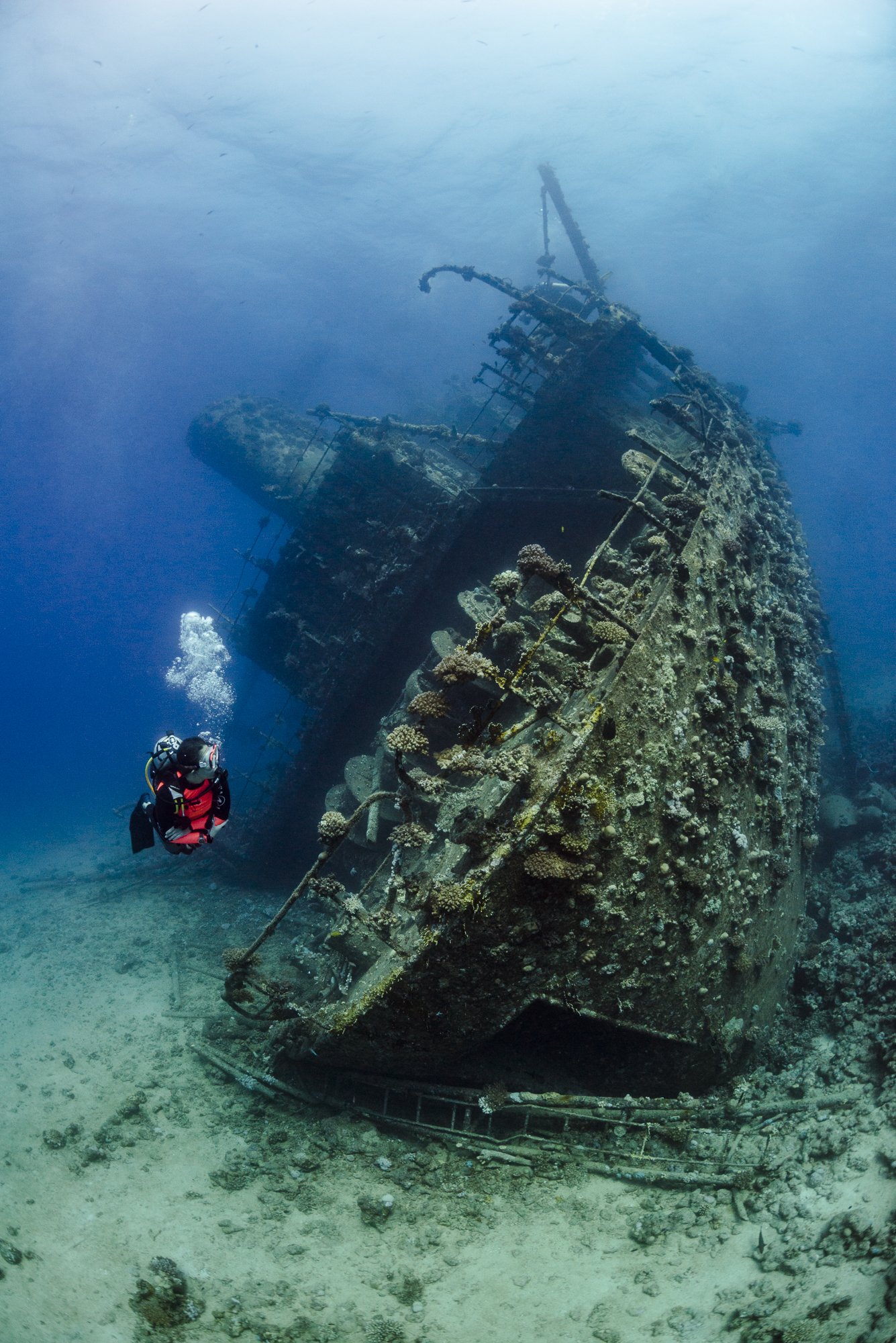 underwater, wreck, underwater photography, Giannis D, Red Sea, Nadya Kulagina