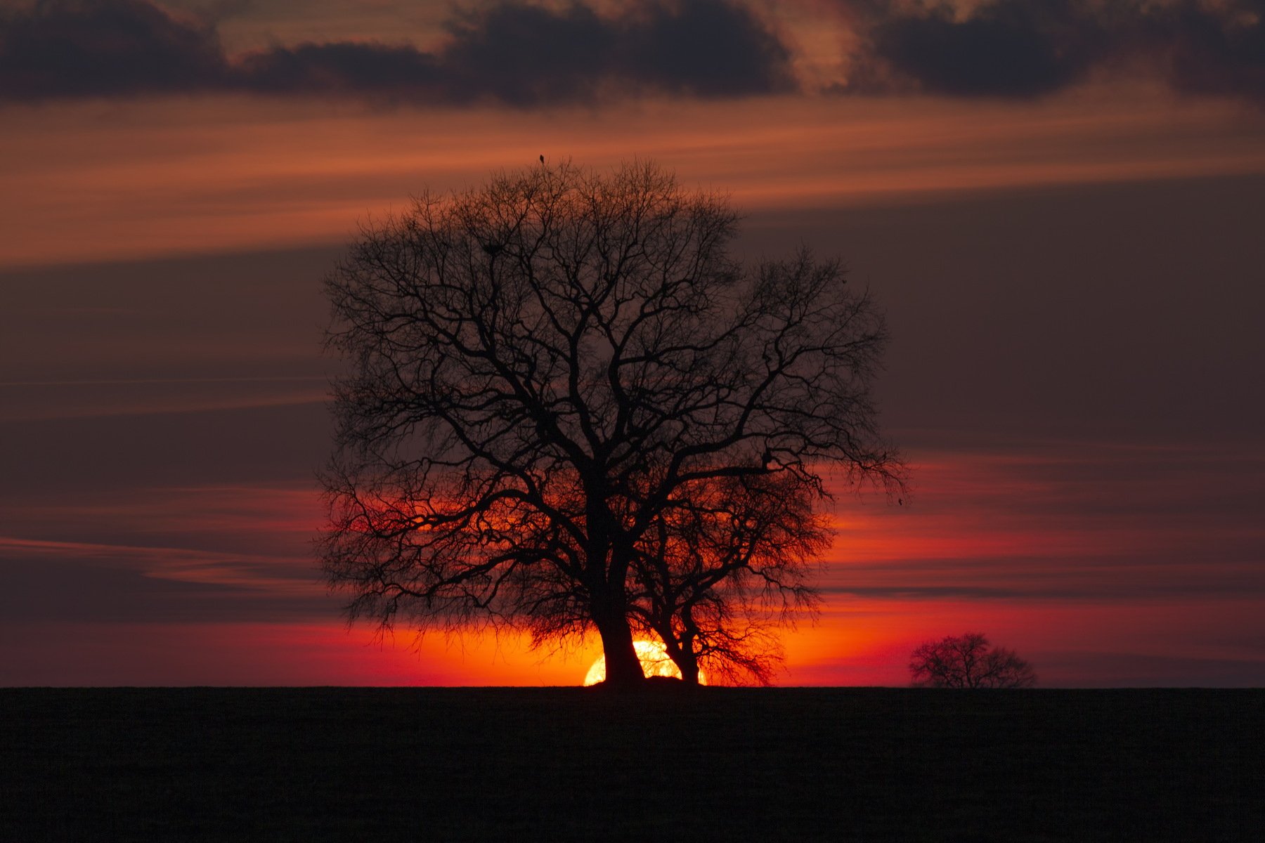 , Aleksandr Karyagin