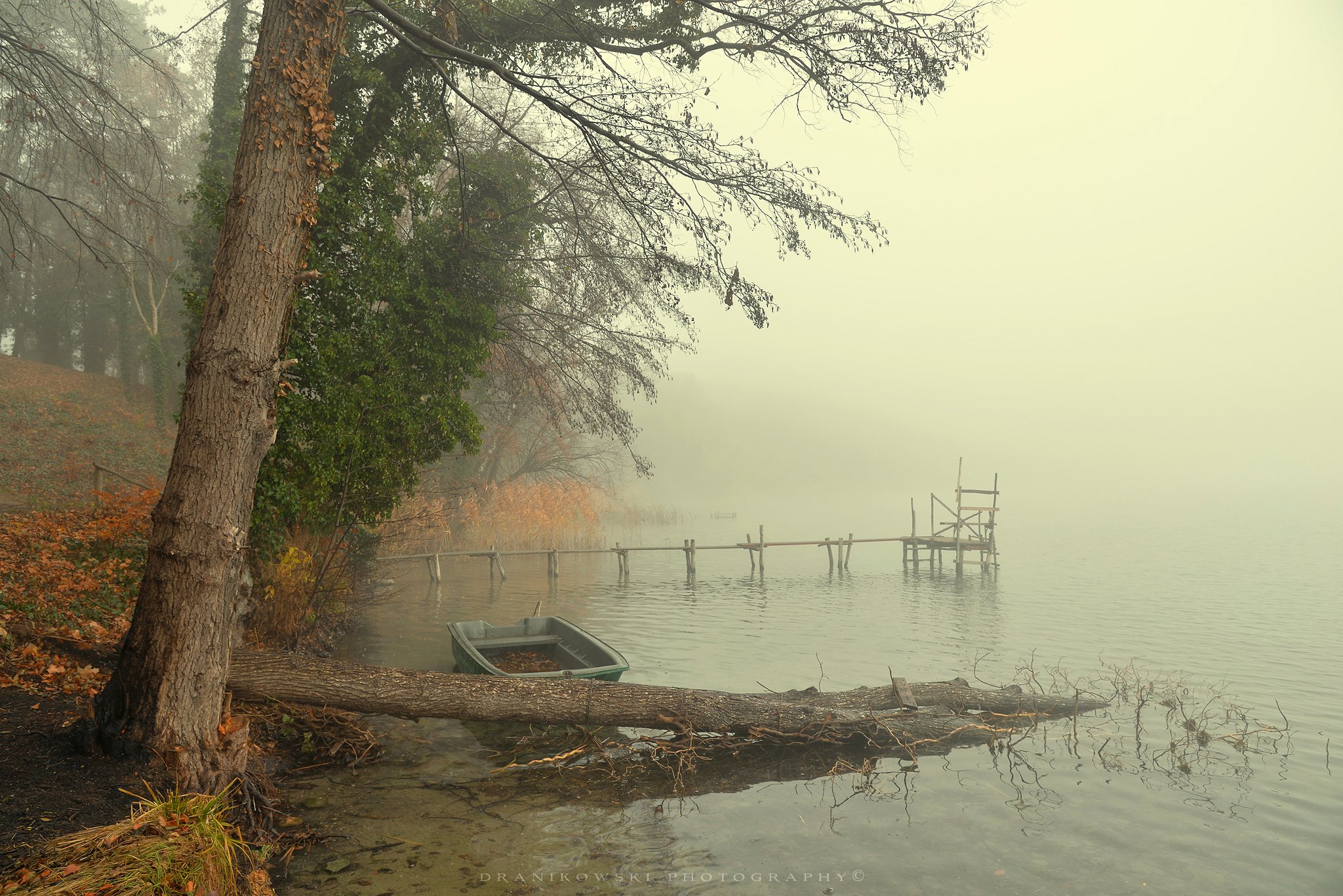 melancholy at the lake тоска по озеру water foggy morning mist magic dranikowski лодка boat tree, Radoslaw Dranikowski
