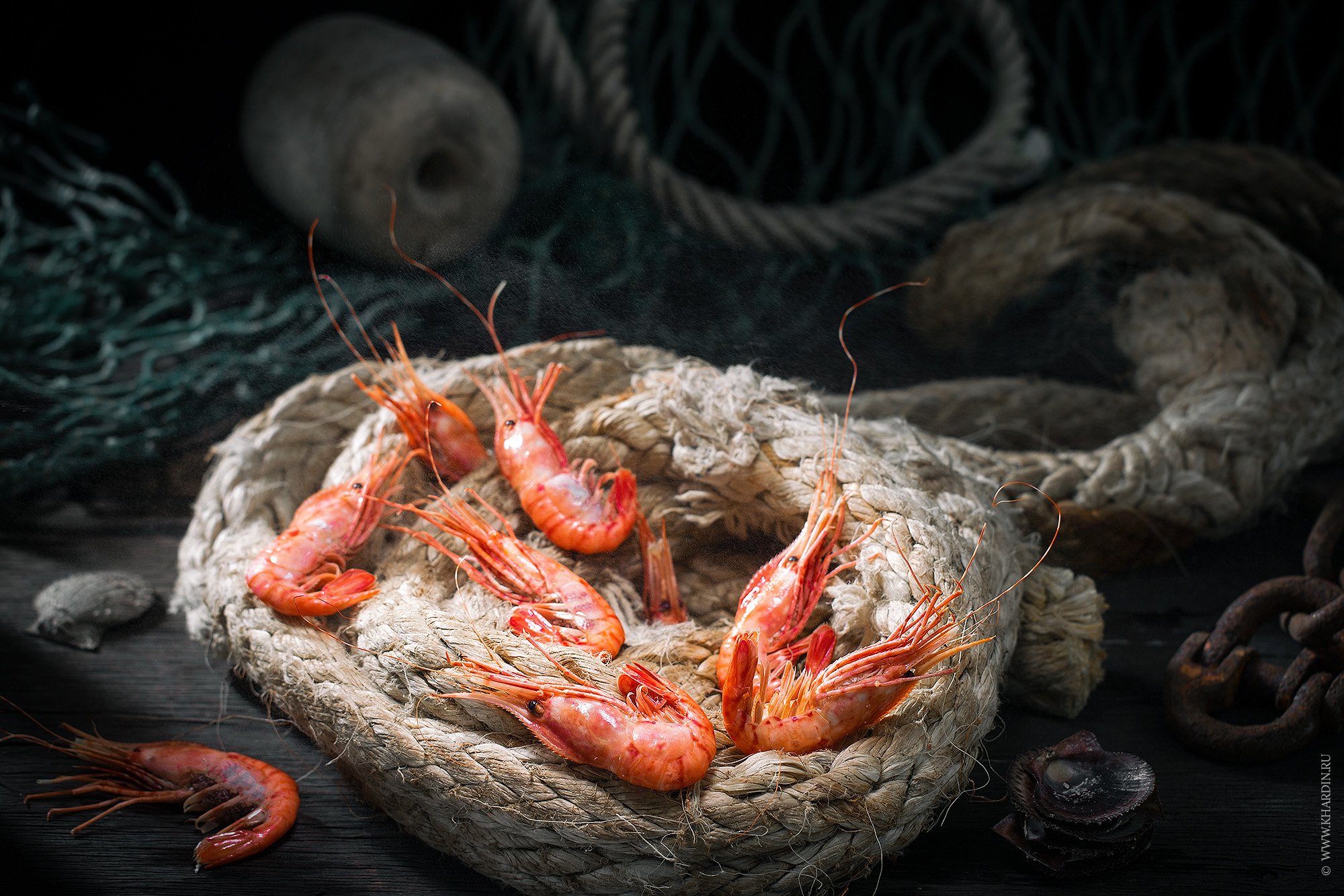 shrimps, seafood, noir, rustic, Alexander Khardin
