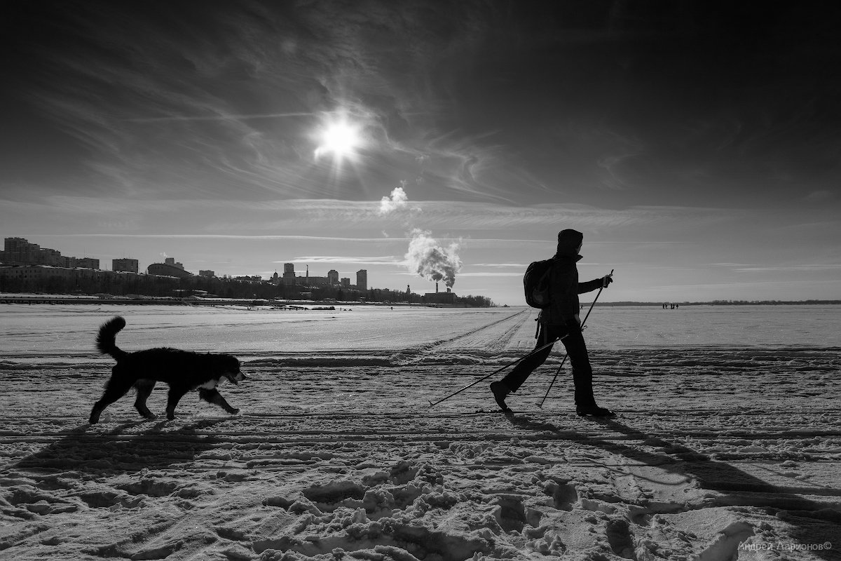 зима,пейзаж, река, лед, небо, собака, андрейларионов, Андрей Ларионов