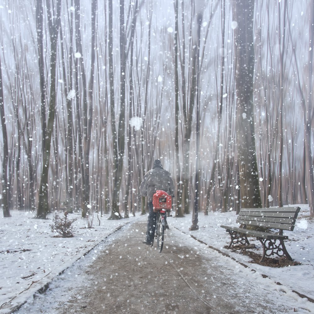 man, bicycling, snow, winter, tree, bench, alone, Caras Ionut