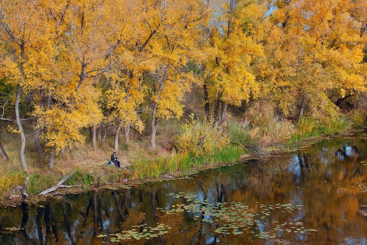 , Качурин Алексей