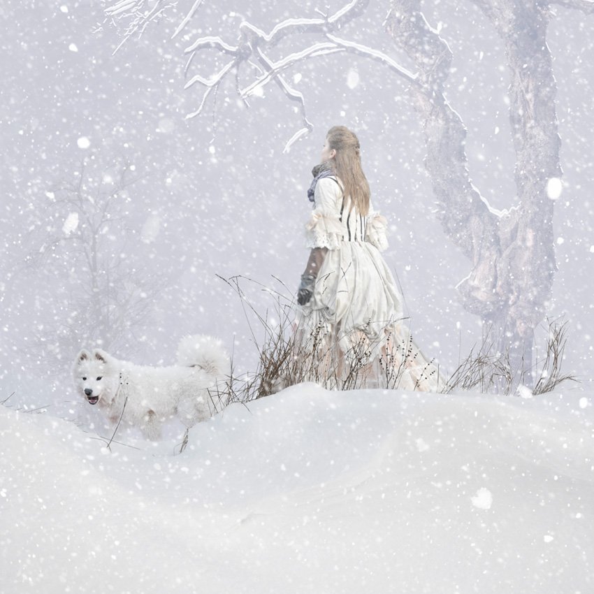 winter, tree, dog, woman, white, snow, journey, fantasy, Caras Ionut