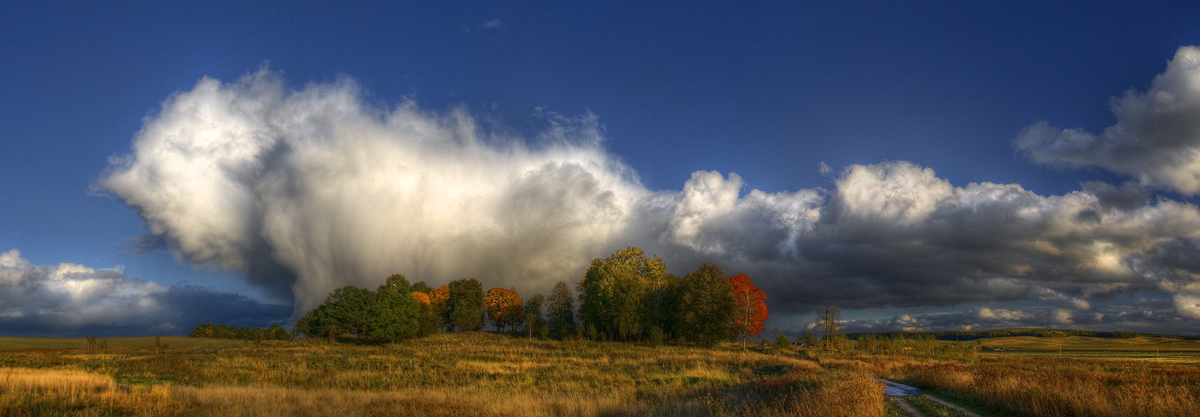 осень, деревья, туча, гроза, Dmitry Apalikov