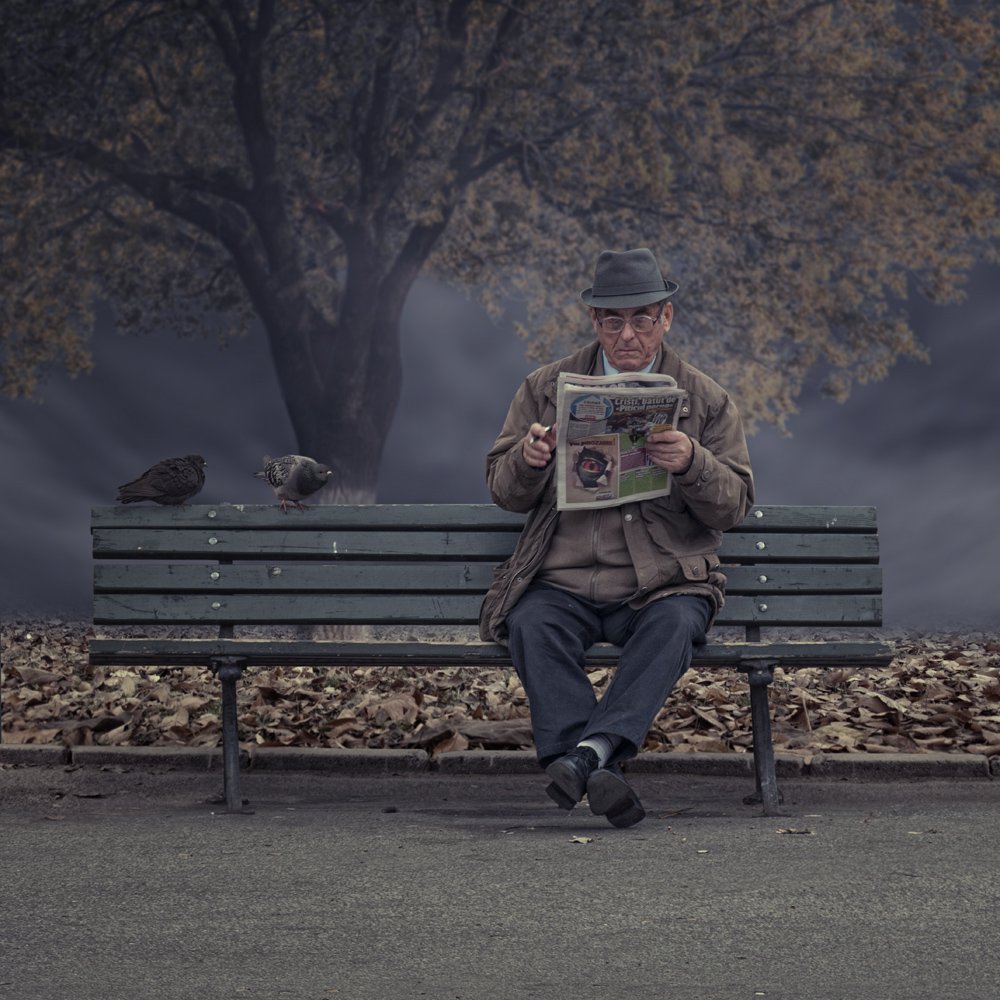 man, old, cold, dove, reading, newspaper, tree, autumn, leaf, brown, sitting, pen, cloth, Caras Ionut