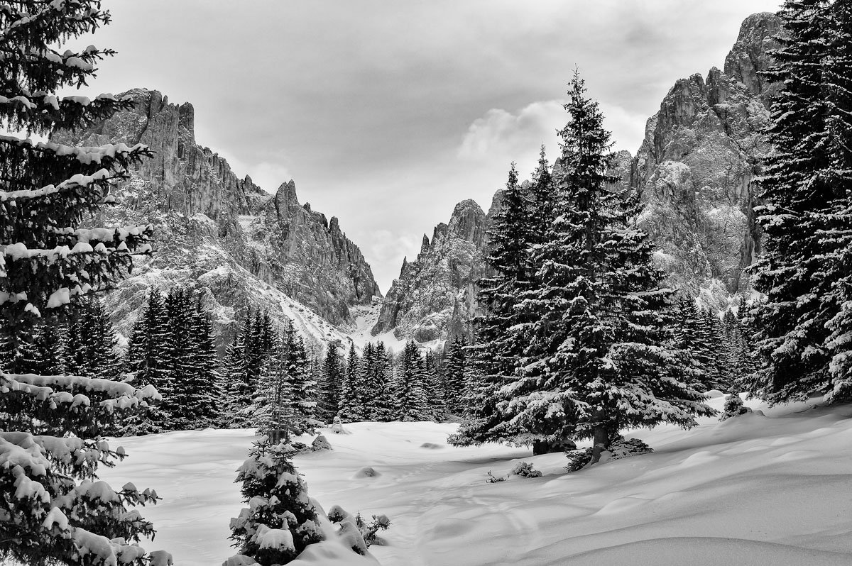 горы, снег, зима, деревья, Михаил Кристев