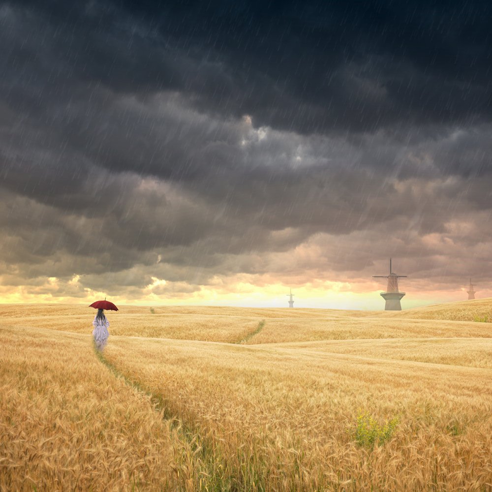 girl, umbrella, rain, clouds, grain, alone, long way, Caras Ionut