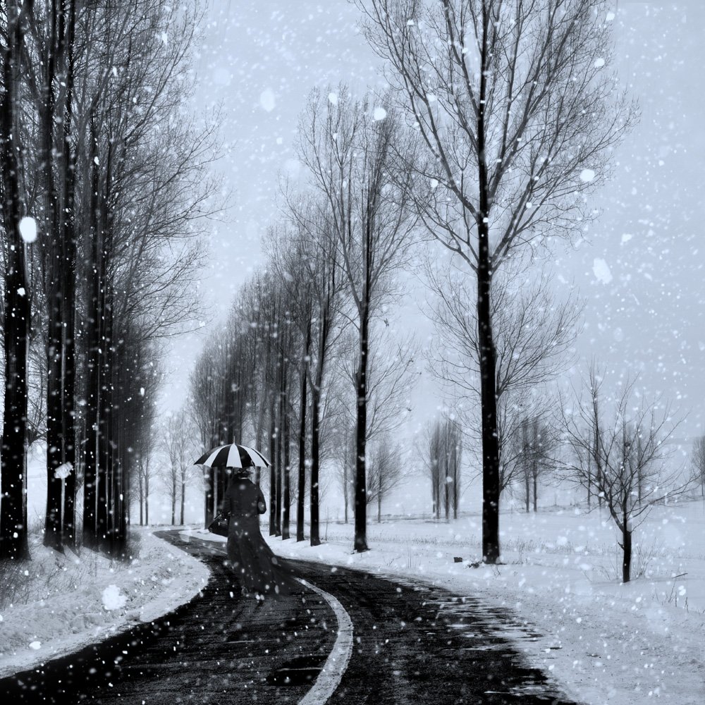 woman, gilr, umbrella, tree, winter, snow, alone, walk, black, white, Caras Ionut