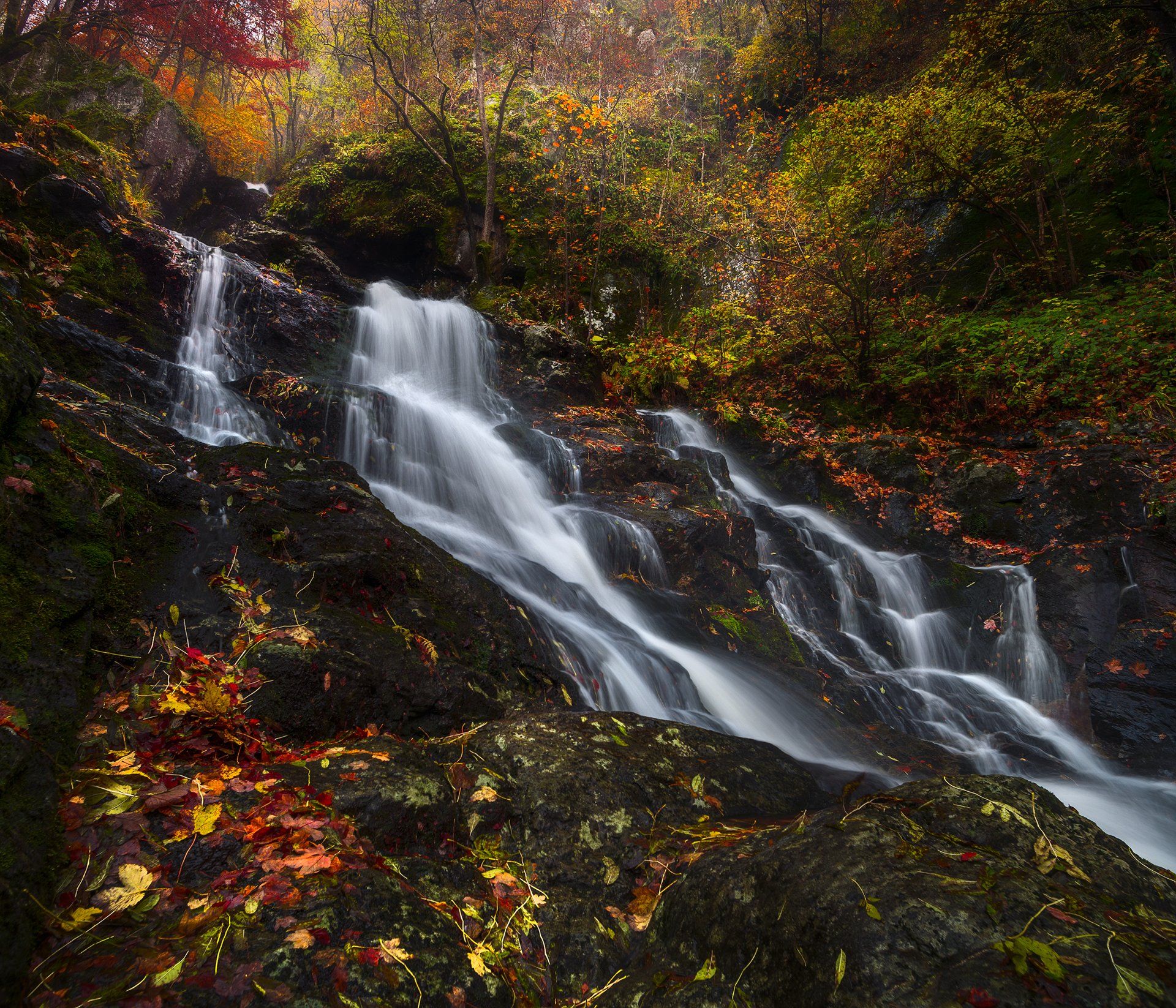 landscape nature scenery forest wood autumn river waterfall longexposure mountain vitosha bulgaria лес oсень, Александър Александров