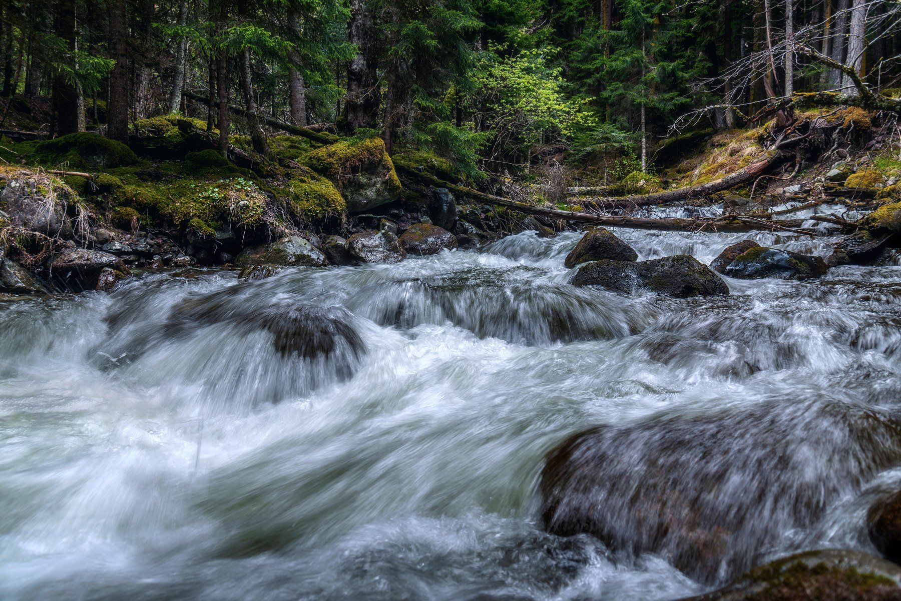 mountains, river, forest, nature,   река, горы, пейзаж, лес, кавказ, архыз,, Егор Бугримов