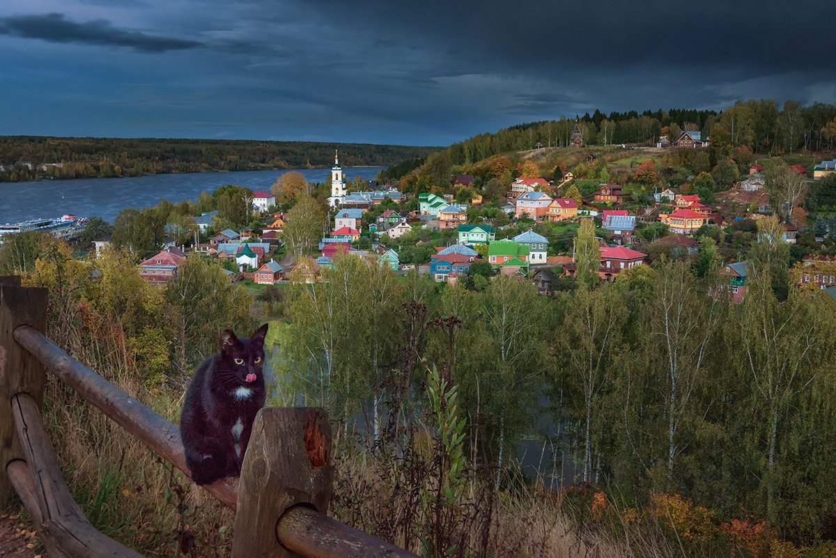 плёс, кот, закат, волга, осень,, Александр Хорошилов