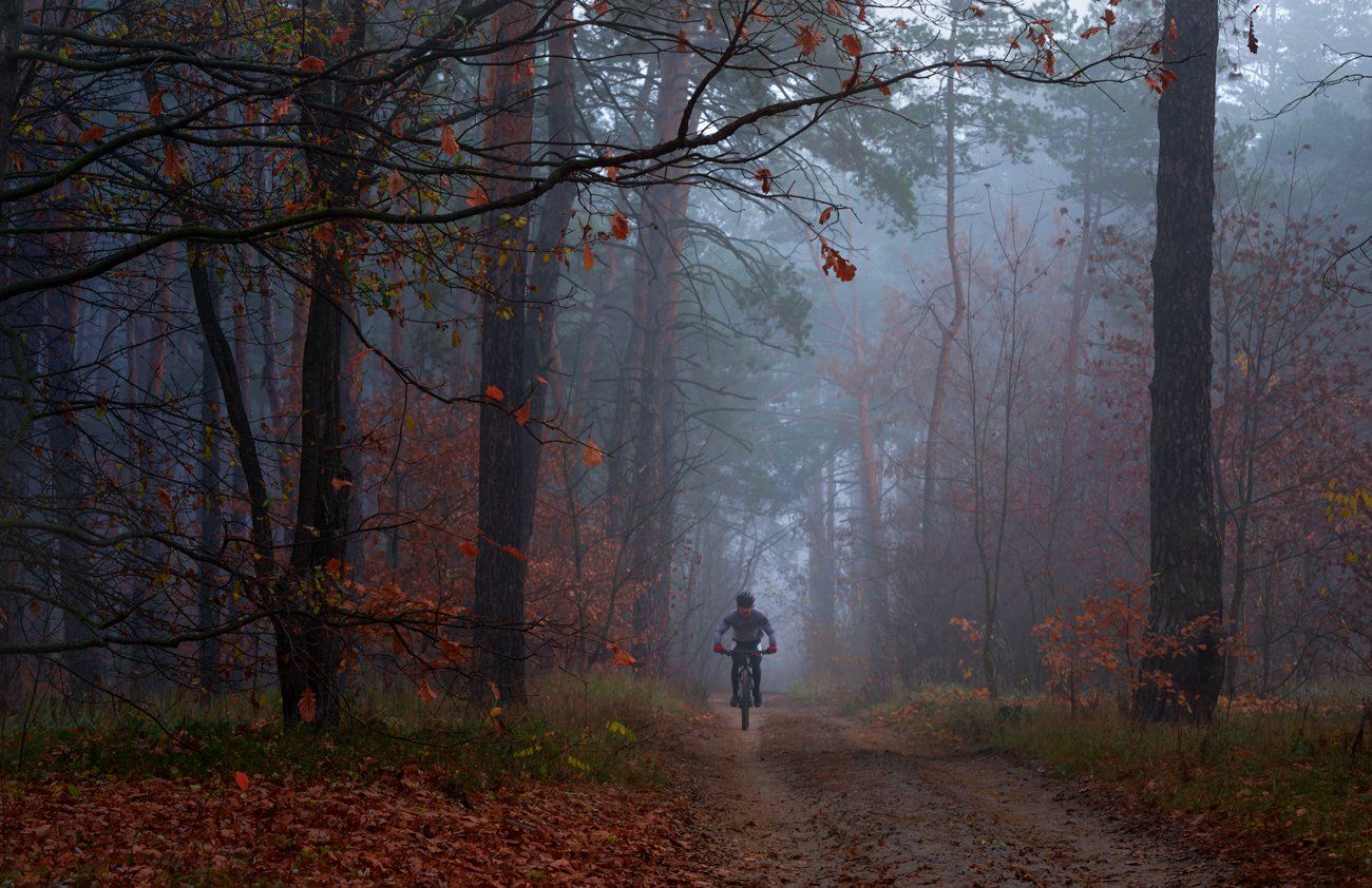 лес, осень, ноябрь, туман, велосипедист, Галанзовская Оксана