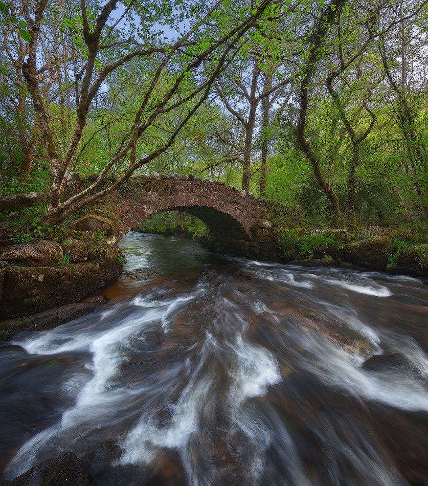 england, devon, dartmoor, Alex Yurko
