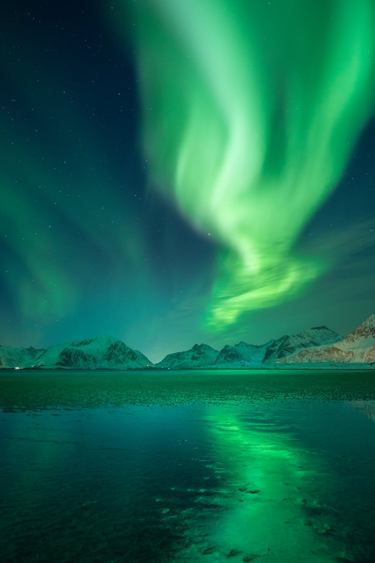 aurora,night,sky,aurora borealis,landscape,night photographymbeach,reflections,lofoten,norway,norwegian,scandinavia, Adrian Szatewicz