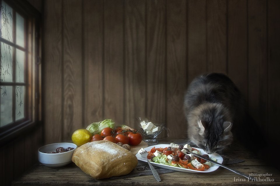 натюрморт, домашние животные, еда, салат с брынзой, кошка Масяня, овощи, Ирина Приходько