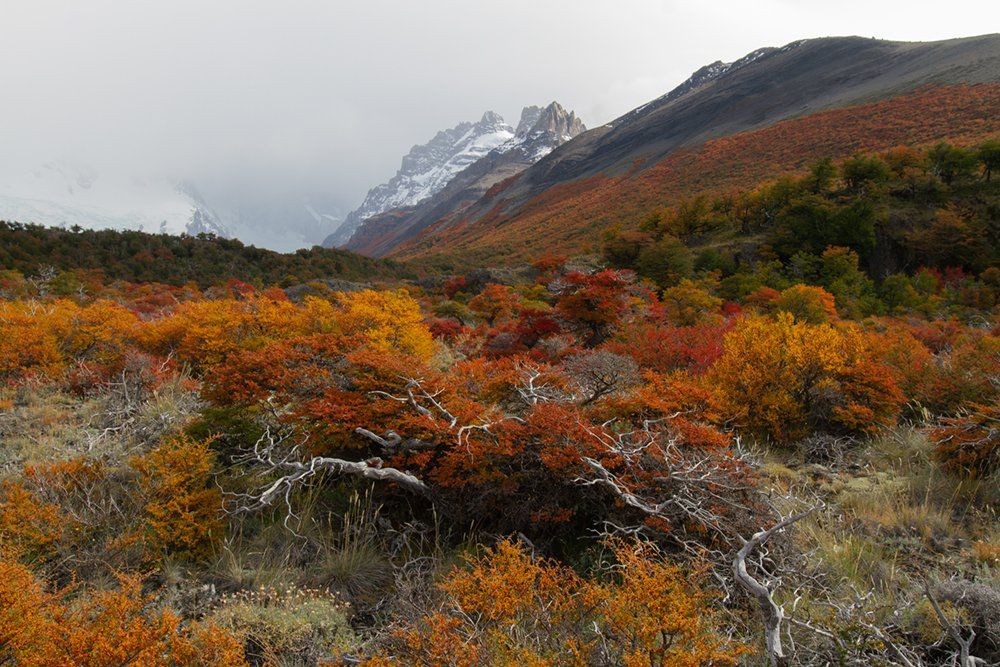 el chalten, Родислав Дрибен