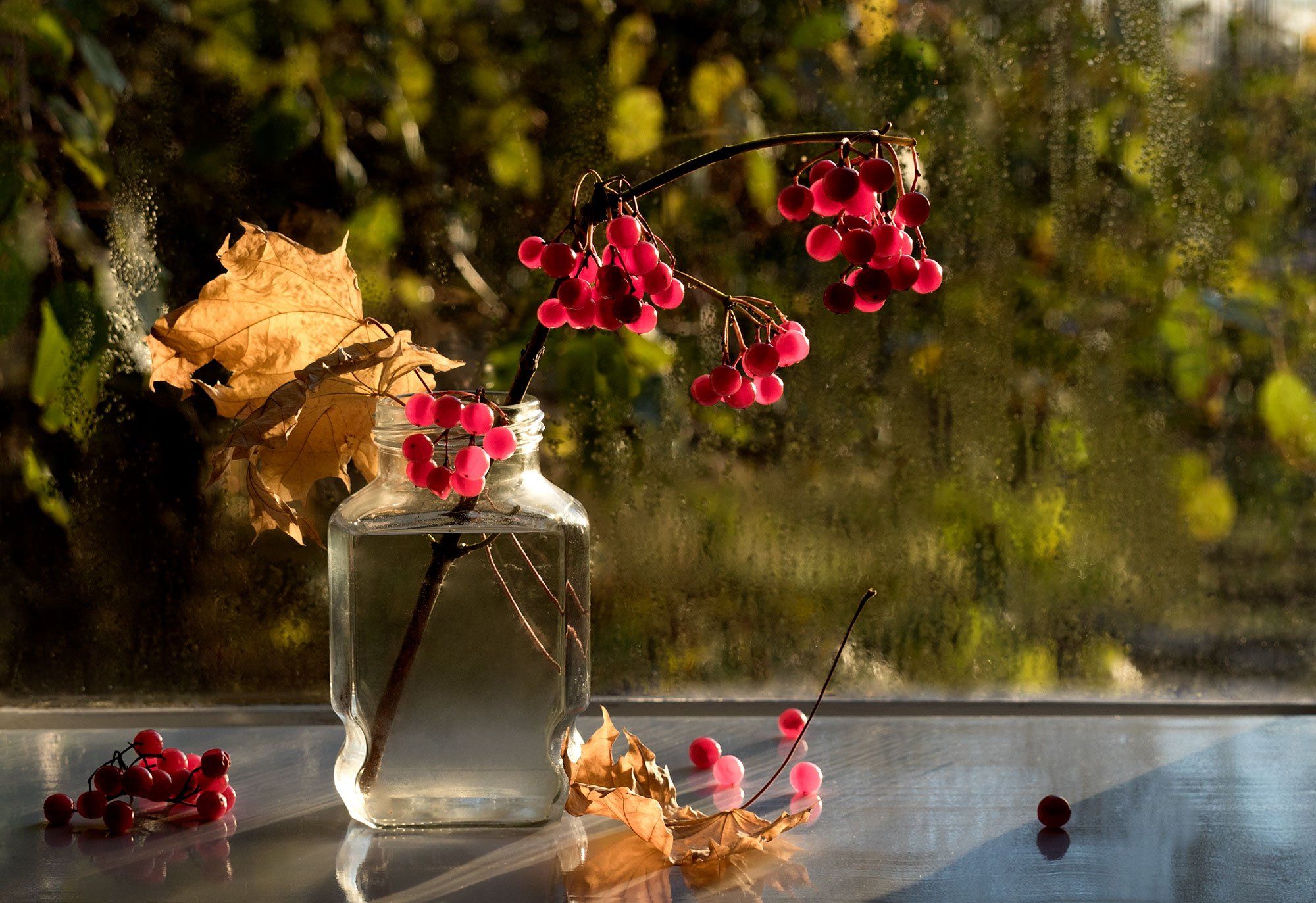 натюрморт, ягоды, калина, осень, жёлтые листья, окно, Вера Лопатина