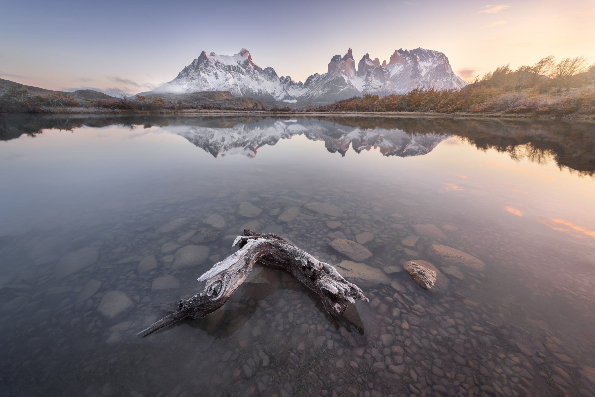 america, andes, beautiful, blue, chile, clouds, cuernos, dead, del, dry, frost, glacier, hiking, hill, ice, lake, landmark, landscape, light, log, mirror, morning, mountain, national, nature, outdoor, paine, park, patagonia, peak, pehoe, range, reflection, Andrey Omelyanchuk