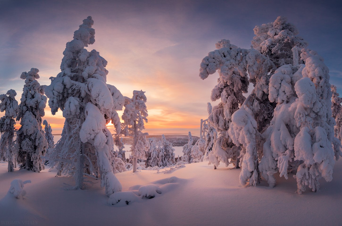 пейзаж,снег,зима,кольский ,закат,деревья, Виталий Истомин