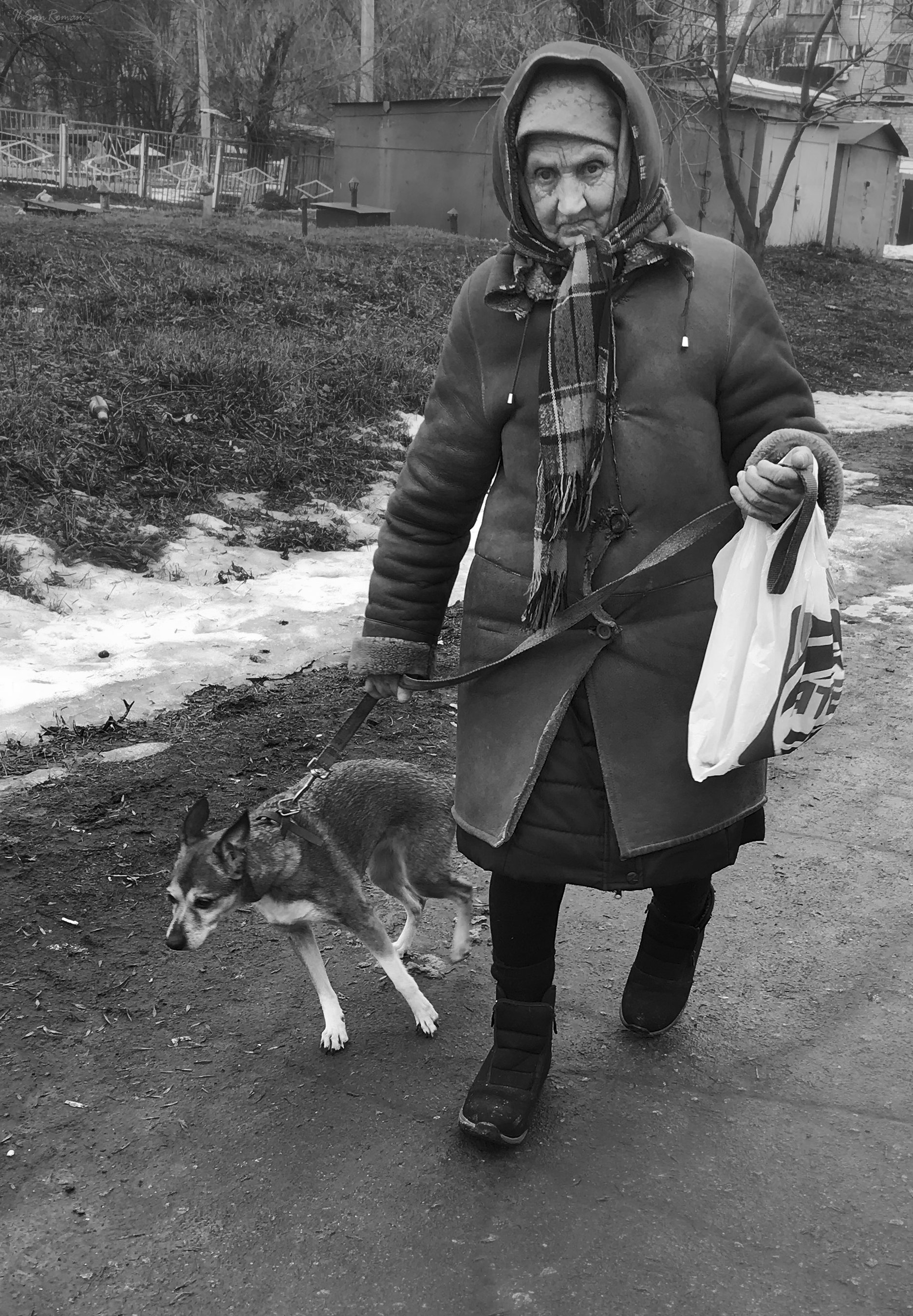 женщина,собака,жанр,город,улица, Roma  Chitinskiy