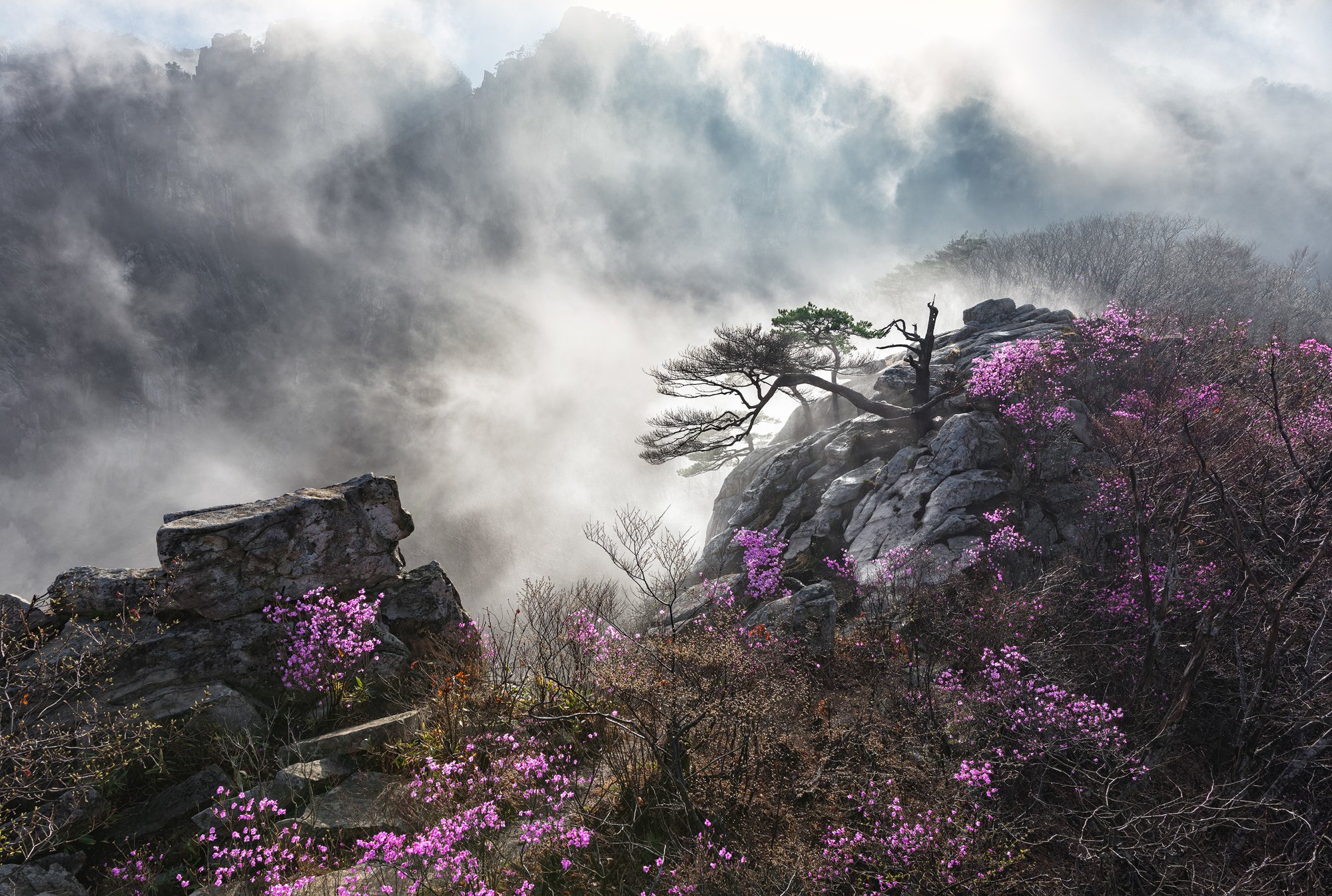 mountains,rocks,clouds,mountain,range,peak,hiking,fog,rugged,foggy,spring, Jaeyoun Ryu