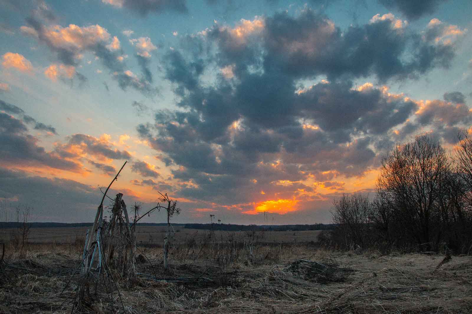 , Александр