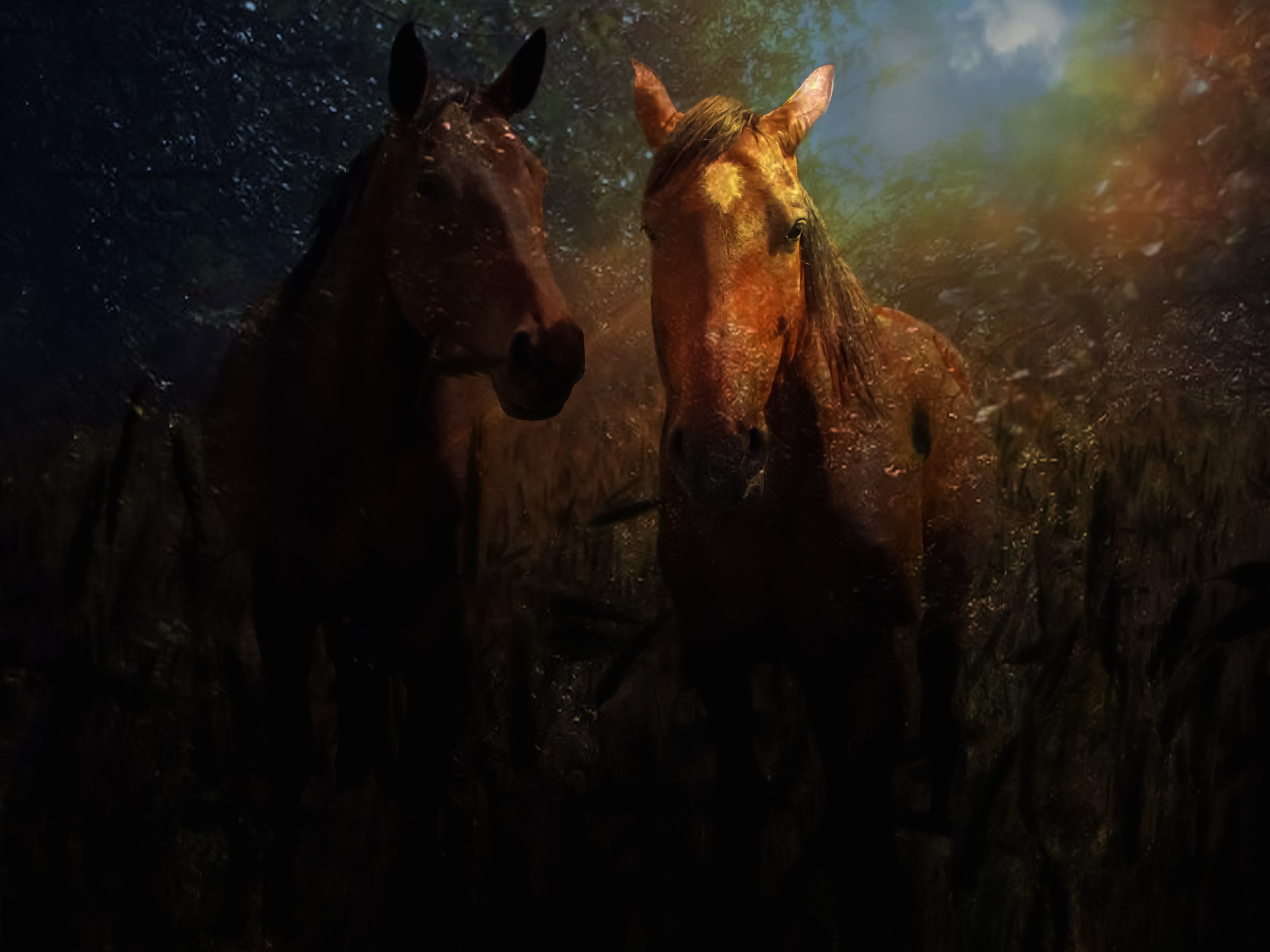 , fog, landscape, grey landscape,  horse, solitude, beautiful horse, grey horse, summer, yard, horse, illustration, color, composition, fantasy, spring, summer, landscape, rural landscape , computer art,digital art,      interesting, nature, forest, tree,, DZINTRA REGINA JANSONE