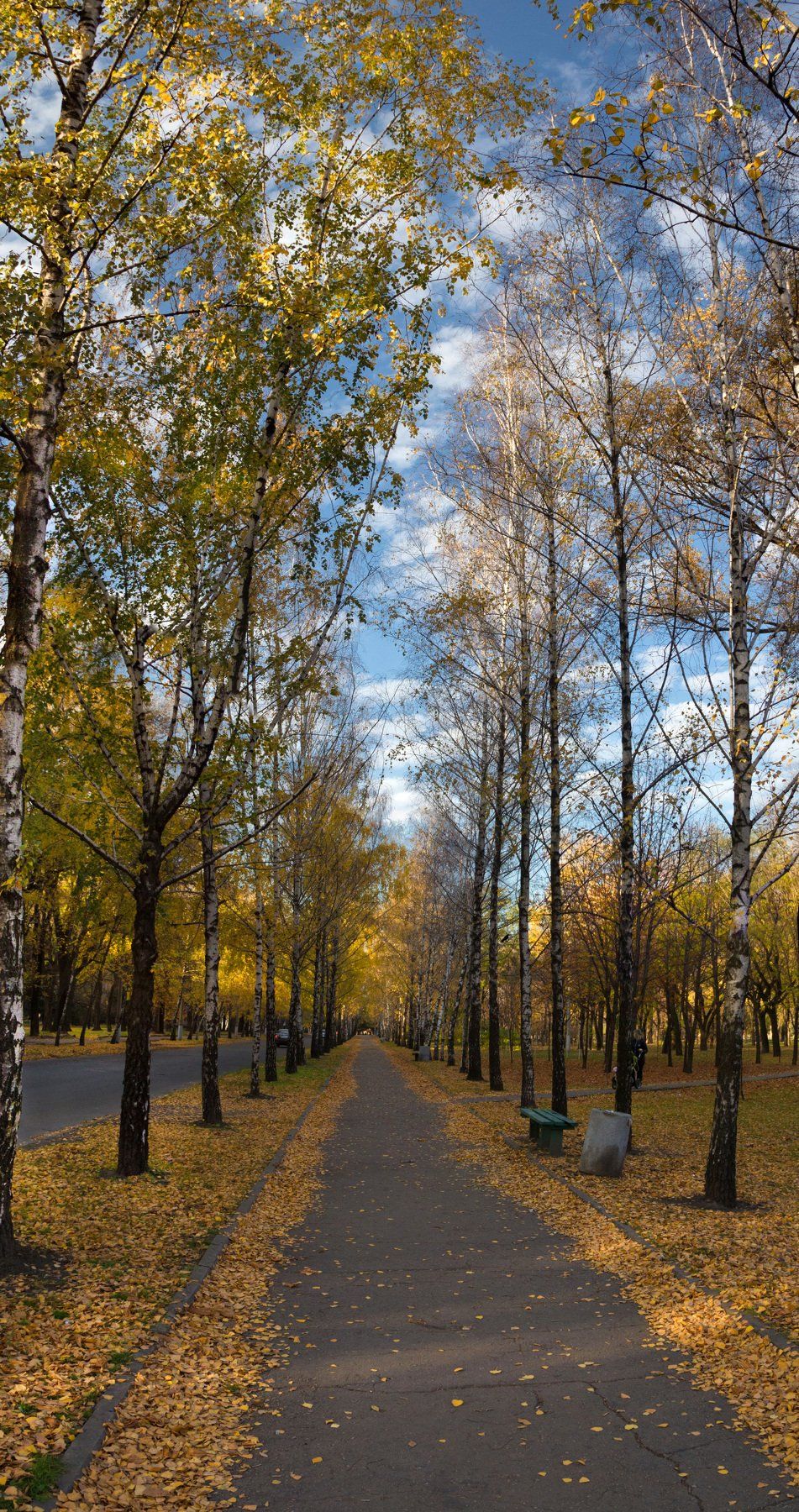 панорама, осень, пейзаж, листва, аллеи, город, Игорь Квочка