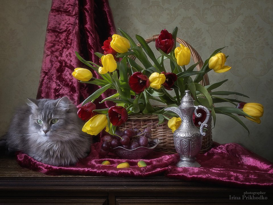 натюрморт, весна, тюльпаны, букет, корзина, кошка Масяня, Ирина Приходько