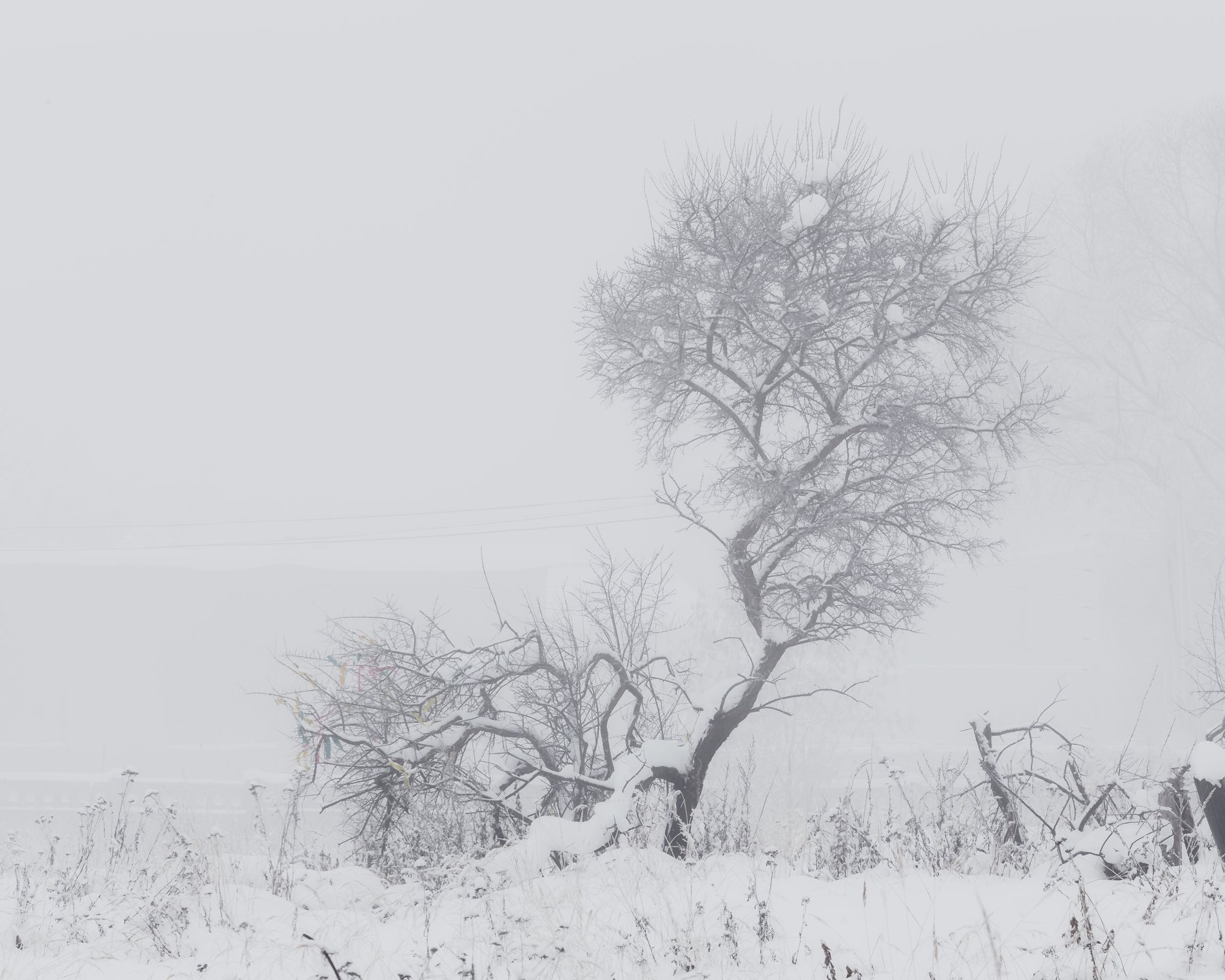 пейзаж, природа, туман, Мартыненко Дмитрий
