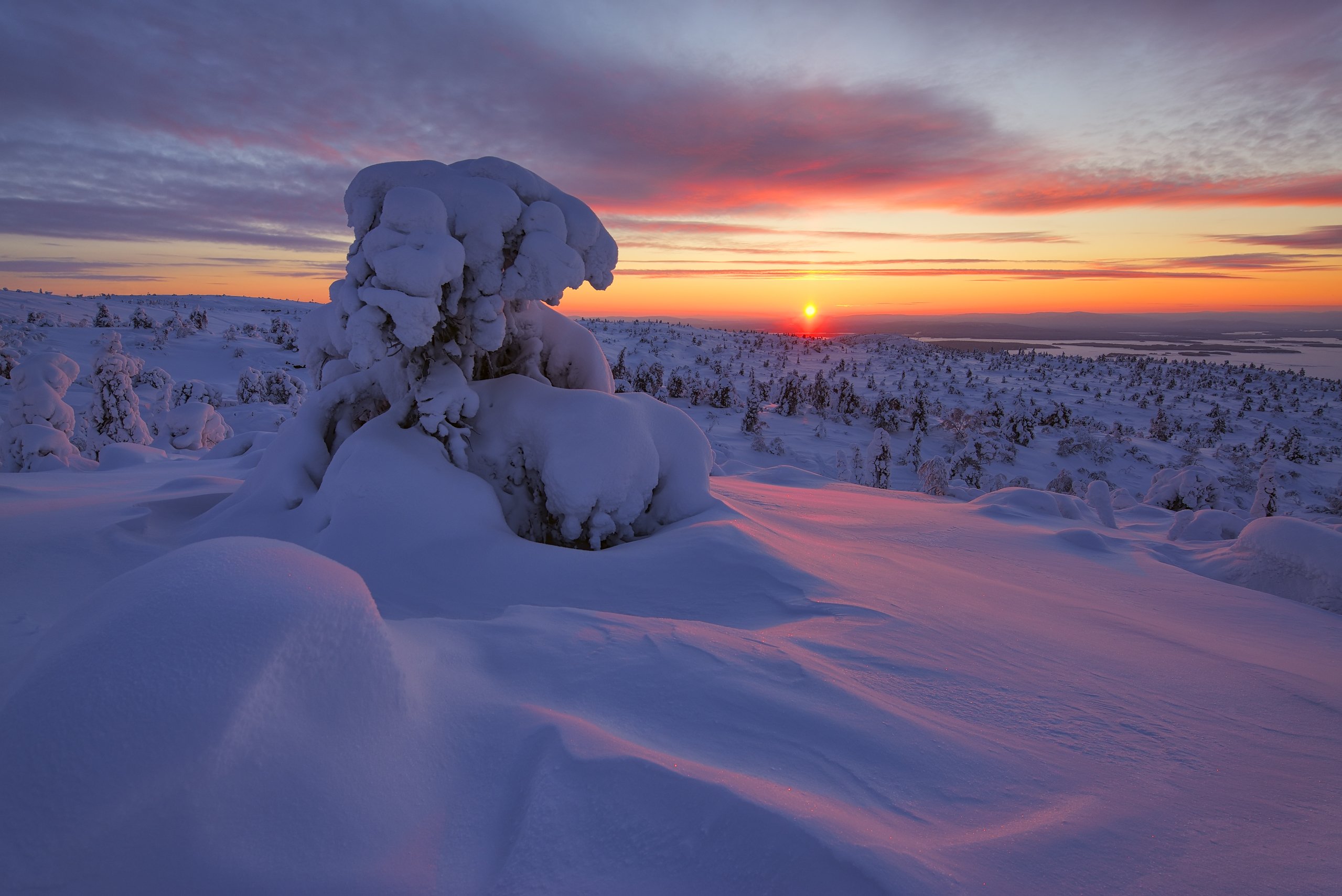 В тундре много снега. Колвицкие тундры. Новый Уренгой тундра. Новый Уренгой тундра зима. Финляндия природа тундра.