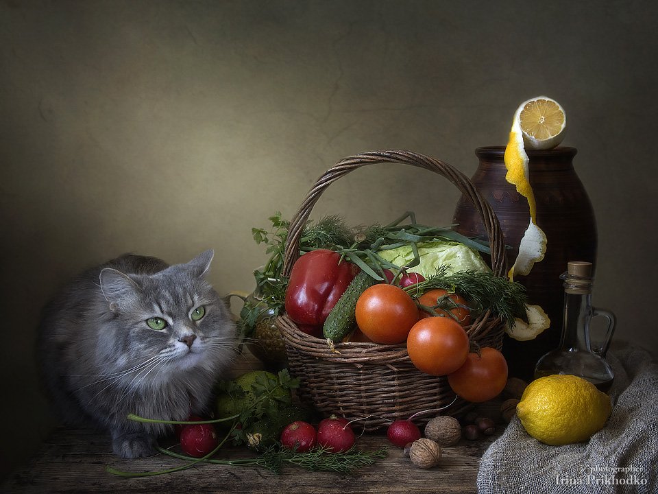 натюрморт, котонатюрморт, кошка Масяня, овощи, винтажный натюрморт, Ирина Приходько