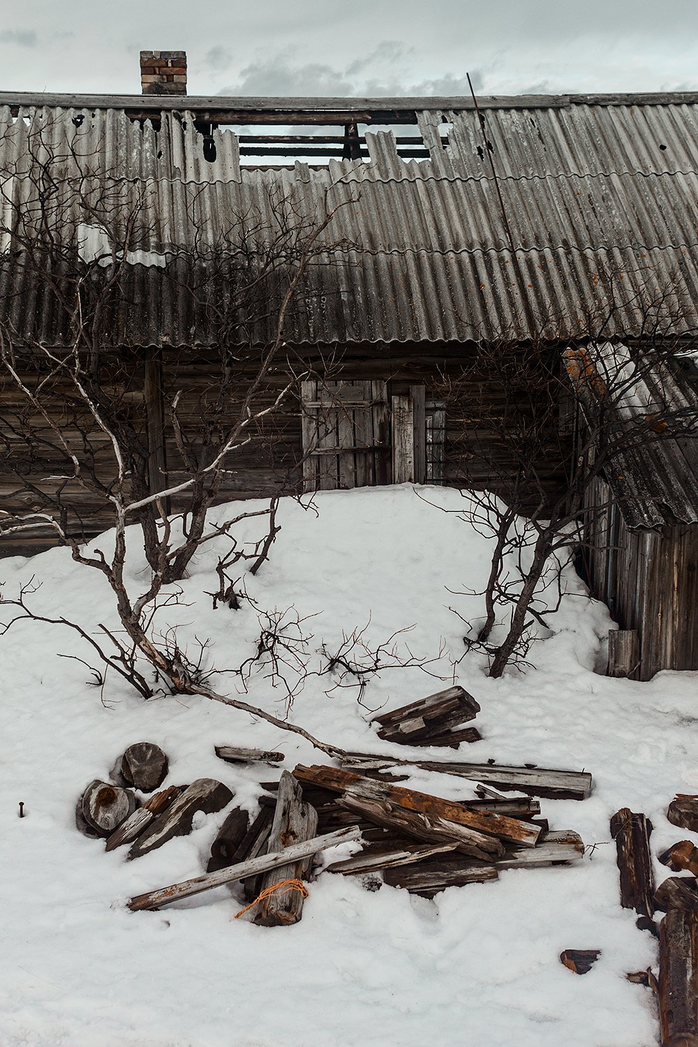 , Ольга Йонш